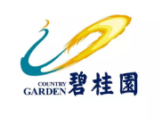 总口管理区碧桂园地产